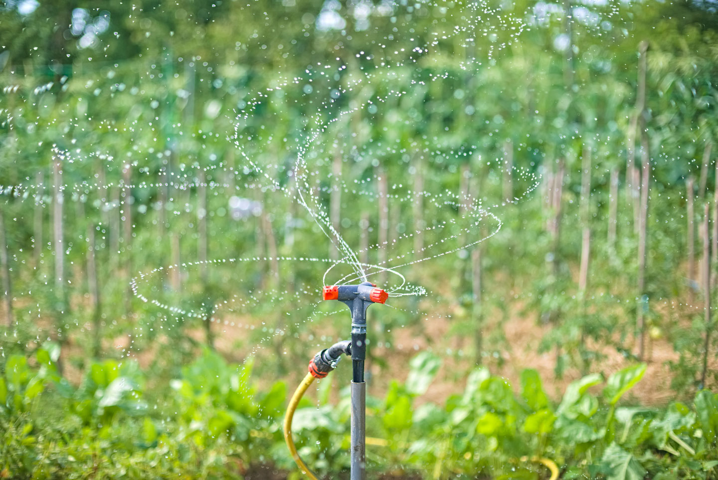 realizzazione impianti di irrigazione biella piemonte